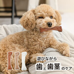 t[o[t̂ XpCL[{[ x[R/`L/~N ŗVтȂ Ǝs̃PA ^ ^ [N | ybǧNObY ߋ f^PA  ̉