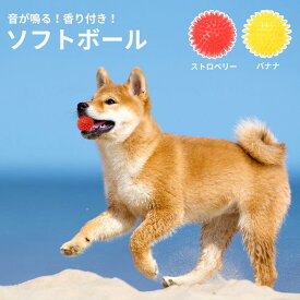 香り付き犬の玩具 フルーツボール ストロベリー/バナナ 音が鳴る 中型犬 小型犬 | ペット用品 ペットの健康グッズ トイボール 犬用ボール 玩具 柔らかい素材 音がするおもちゃ スクイーカー 遊び ストレス解消 運動不足解消 健康促進 丈夫 頑丈 高耐久