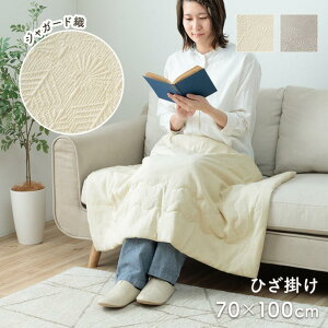 y[J[zWK[hD Ђ| ԕ ۂ O[/AC{[ 70×100cm | Q CeA WpfB  킢   lC Vv Jo[ Jo[ 