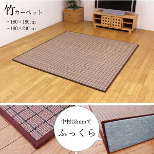 y[J[zӂ |J[ybg J[gp wDDX_bax 180×180cm/180×240cmi:E^13mmj | ou[O ЂƂG   u₩ Vv  