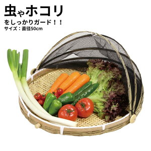 t[htU ga50cm | Jo[ lbg ӂ W t^ ho h \  U  U  | | ou[ 傫 V ~   卪 ` 