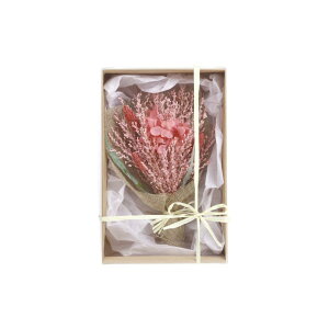 hCt[u[P g gsN gu[ | CeA G   hCt[ u[P ԑ ݂艺 ݂邷 Ǌ|    hA rO  ԓ GgX 