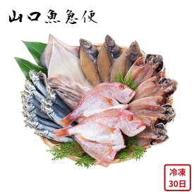 【メーカー直送】冷凍魚 詰め合わせ 山口魚急便 山口 山口県 さかな 魚 お魚 海鮮 海産物 食べ物 喜ばれる 夏ギフト お中元 内祝い 贈答 贈り物 プレゼント お礼 お返し ギフト | アジ 連子鯛 カレイ スルメイカ うるめ 5種 干物セット【離島は不可】