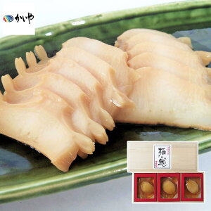 y[J[zюp   Ar  y Hו ΂ ăMtg ~Mtg  j  蕨 v[g  Ԃ Mtg | юϊL 鸎ϊL ArϊL 