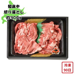 y[J[zkC m ؂藎Ƃ 300g   Hו ΂ ăMtg ~Mtg  j  蕨 v[g  Ԃ Mtg |  Y a ؂藎Ƃ 