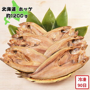 y[J[zkC zbPibj CY   y Hו ΂ ăMtg ~Mtg  j  蕨 v[g  Ԃ Mtg | ق J  