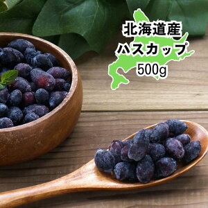 y[J[zkCY nXJbv Ⓚ ⓀnXJbv Hו ΂ ăMtg ~Mtg  j  蕨 v[g  Ԃ Mtg | x[nt[c Ⓚʎ k