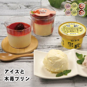 y[J[zkC ACXƖ䕃v Zbg   v ACX ACXN[ Hו ΂ ăMtg ~Mtg  j  蕨 v[g  Ԃ Mtg