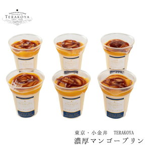 y[J[z  }S[v TERAKOYAďC Z 6 Zbg fU[g Hו ΂ ăMtg ~Mtg  j  蕨 v[g  Ԃ Mtg  |