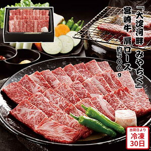 y[J[z[X 500g { 嗄͔ ݂₿ ē   Mtg Hו ΂ ăMtg ~Mtg  j  蕨 v[g  Ԃ | {苍 a јa