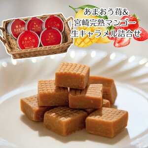 y[J[z܂&{芮n}S[ L l Zbg  ܂   C`S n {}S[ Hו ΂ ăMtg ~Mtg  j  