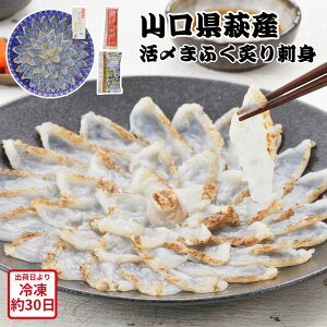 y[J[zR Y Y ܂ӂ thg 3lO Zbg ӂ tO ͓ hg ܂ӂ }tO Hו ΂ ăMtg ~Mtg  j  蕨 v[g  Ԃ 