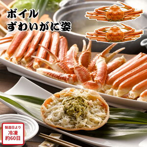 y[J[z{C 킢 p Zbg I Jj YCKj Hו ΂ ăMtg ~Mtg  j  蕨 v[g  Ԃ | Ⓚ 킢I 䥂ŃKj bt