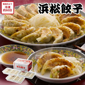 【メーカー直送】浜松餃子 45個 静岡 ご当地グルメ 餃子 ぎょうざ 食べ物 喜ばれる 夏ギフト 冬ギフト お中元 内祝い 贈答 贈り物 プレゼント お礼 お返し | 冷凍餃子 冷凍ぎょうざ お取り寄せ 冷凍食品 おつまみ 簡単調理【全国離島不可】