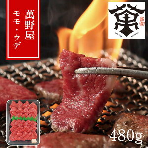 y[J[zⓀ ݖa ēp EEf 480g Ԑg̎|݁قǂ悢TV^ݖƌI^ēEBBQEMtg |  Ia  O i v[g 蕨 