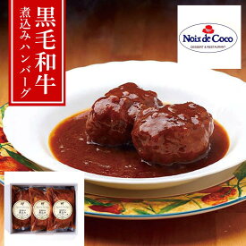 【メーカー直送】【大阪・ノワドココ監修】黒毛和牛ベース 煮込みハンバーグ デミグラス 2個入×3袋（計6個/ソース各100g付） 清水シェフ監修・冷凍60日・ギフト/お取り寄せ | 黒毛和牛 濃厚デミグラスソース 本格洋食 高級 贈答品 お歳暮 内祝い ごちそう