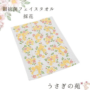 tFCX^I ủv R 33cm×85cm |  ^I  @ nJ`  R  hL ÓdCd MՒf ̎ D ~[t@ ۓ ͂Ȃ a