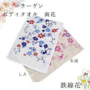 {fB^I R[Q uSԁv 34cm×92cm | ^I {fB[  ͂ S 100 C ܂ PA 邨   a Vv a 킢 yY s ͂