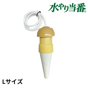 蓖 LTCY | A     W[ ϗtA K[fjO A Ԓd A  | ƒ؉  x_ v^[ pi  ybg{g x