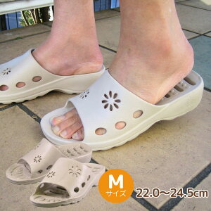 x_T_ hG MTCY 22.0`24.5cm | T_ Xbp O Op O  x_ K[fjO |  oRj[ O AEghA v[ C ItBX gC |  