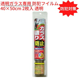 yz hƑ΍ KXp hƃtC 40×50cm 2 bNh~ KXj NZg Uh~ ZLeB p 󂫑 D_΍ hƃObY S O s@N h