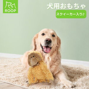 [v gp gʂ | [N tfB  p  ʂ ӂӂ 炩 XNC[J[ [v