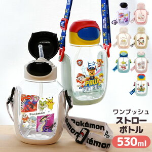  Xg[{g LN^[ 530ml | vbV Xg[ {g LN^[ NA y vX`bN 퉷 q LbY ⋋  ʉ o  킢 |P fB