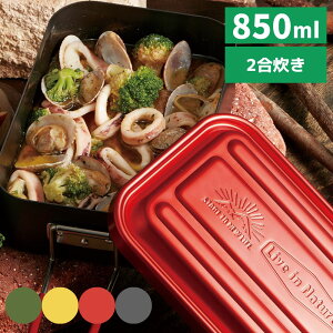 AEghA NbJ[ A~XeB 850ml |  XeB 2 A~ Lv ᴐ т o[xL[ BBQ y A~H A}CgH t V[YjOsv V