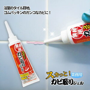 Ɩp XJbƃJrWF(1{) |  C    KR  Jr΍ | |pi Jr\h