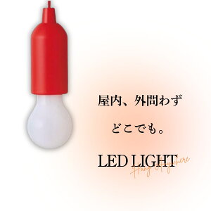 ǂł݂LEDCg (1R) | AEghA Lv Ȉ ^ dObY LEDCg N[[bgCg RZgȂdC LvObY ֗Cg ֗dC drCg d