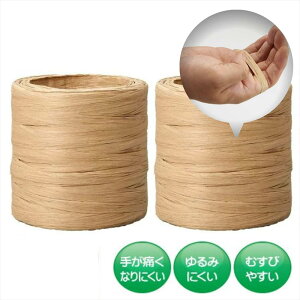 肪ɂȂɂȎЂ 50m 2 |  q S~   [v R בR V G _{[ R ACfBA L 쐬  Ђ R 