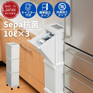 スリム ダストボックス 分別 ゴミ箱 ごみ箱 通販 価格比較 価格 Com スリム ダストボックス 分別 ゴミ箱 ごみ箱 通販 価格比較 価格 Com
