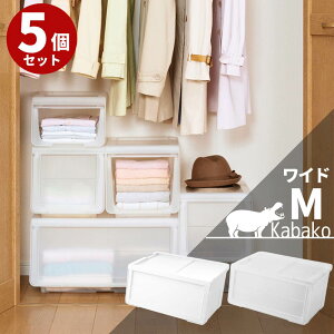 y 5Zbgz JoR [ChM] 60cm×s42cm×31c | [P[X ߑP[X tbv tbv [ {bNX XCh ςݏd vX`bN tbv{bNX [P[X 