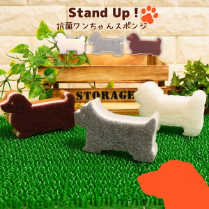 Stand UP Lb`X|W | A ؂ A؂ ǂ Lb` X|W 䏊 H R v C  ObY   Aj}G mg[   킢