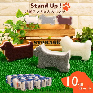 y10ZbgzStand UP Lb`X|W | A ؂ A؂ ǂ Lb` X|W 䏊 H R v C  ObY   Aj}G mg[ 