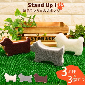 y 3×e3ZbgzStand UP Lb`X|W | A ؂ A؂ ǂ Lb` X|W 䏊 H R v C  ObY   Aj}G mg