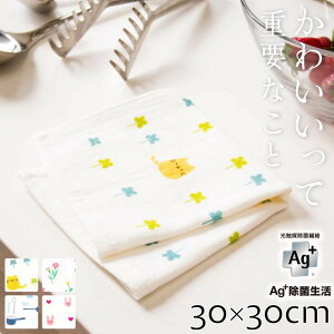 yAg+RہzLȂ 킢 ӂ 1 | D ӂ Lb` Lb`ӂ z Hӂ tL Ɩp ƒp @ @ e[u  hL H LȂȂ g