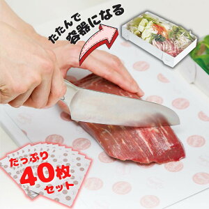 ܂ȔV[g 40 ϐH eɂȂ܂Ȕ(ĝă^Cv) | { Y AEghA Lv ܂Ȕ ĝ Zbg JbeBO{[h OsO ̂܂ ܂ NbL