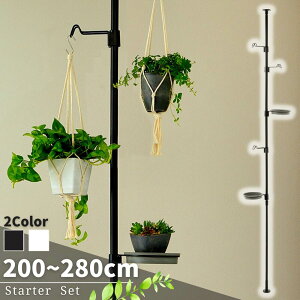 観葉植物 支柱 インテリア 家具の人気商品 通販 価格比較 価格 Com