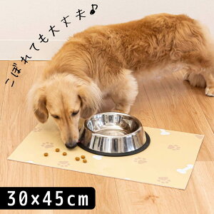 yyXzN؃g `}bg 30×45cm | ybgp`}bg `}bg a䉺}bg A_[gC @ Q[W}bg  k ~  ^ 