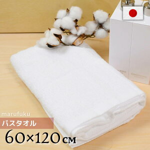 y1z܂oX^I 60×120cm | oX^I p C ̂@ ^I ^I { ^I Y B^I   ܂Ƃߔ Ɩp Vv zCg   pC 