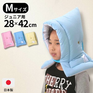 y{hFizhЃNbV(M) WjAp 28×42cm | hЂ hГ hЗpi u[ sN CG[ F wZ w wZ w {hFi P h