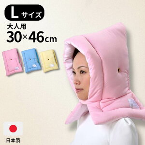 y{hFizhЃNbV(L) lp 30×46cm | hЂ hГ hЗpi u[ sN CG[ wZ w lp  @l {hFi P hЌP 