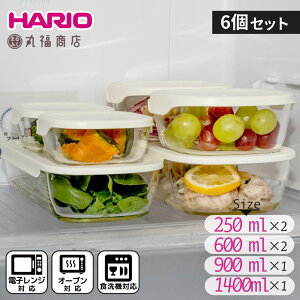 y 6ZbgzHARIO X^bLO ϔMKX Rei [KSTL-5004-OW] e:250ml×2A600ml×2A900ml×1A1,400ml×1 | KX KXe ۑe W dqWΉ H@ KXR