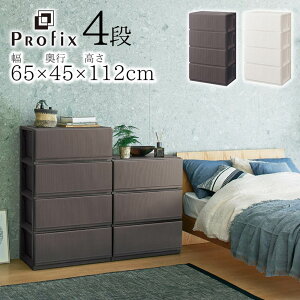 `FXg g ^X o [P[X StyleCase 6504 [^ 4i 65 s45 112cm | vX`bN 4i ߗގ[ Ch LX^[t o ߑP[X rO[ k Vv 