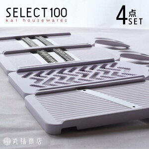 ZNg100 炦4_Zbg | XCT[  XCX ؂ ؂ ׂ W 낵 I^s[[ ؂ 낵 H@Ή H ؂ Vv   KAI 