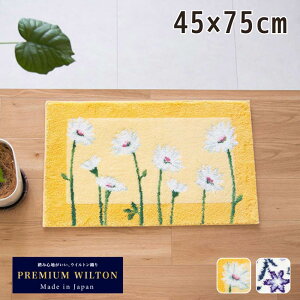 Y EBgD R[i[z փ}bg 45×75cm | Ȃ  x_ [ CeA rO  k ׂ~ ~  킢 z  { CG[ 