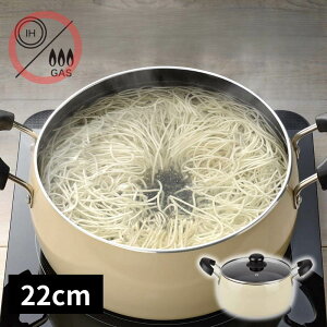 y䥂ł̂߂̂z IHΉ  22cm | ߂ ǂ  ɂイ߂ [ 䥂  ˗ ͂    ύݓ ύݗ J[ V`[