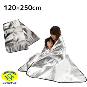 傫ȃA~V[g 120×250cm | 傫 傫 A~uPbg A~V[g 悯 ۉ h h ObY hЗpi A~ ѕz hЗpi 傫ȃA~V[gABO-14/|Cg {