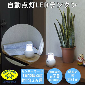 _LED^ | ASL-3301S h ^Cg dr Ɩ ZT[Cg m Ki L  Cg R[hX lZT[ ZT[ _ 퓔 hЃObY